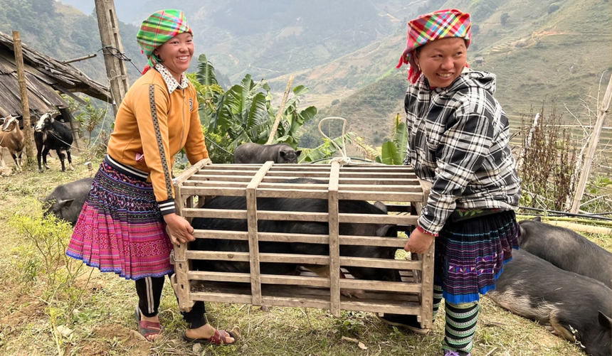 Tinh gọn tổ chức - Hướng về cơ sở - Bài 3: Hội viên cần gì sau tinh gọn?- Ảnh 1.